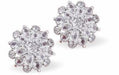 Pave Crystal Embellished Flower Stud Earrings
18mm in size

Colour: Silver Coloured. Blue Crystals
Rhodium Plated
Delivered in a soft, black, velveteen pouch