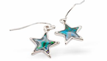 Paua Shell Star Drop Earrings
22mm, Rhodium Plated

Hypoallergenic: Nickel, Lead and Cadmium free
Delivered in a soft, black, velveteen pouch