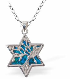 Paua Shell Tree of Life in Star Necklace
23mm, Rhodium Plated

18" Chain
Hypoallergenic: Nickel, Lead and Cadmium free
Delivered in a soft, black, velveteen pouch