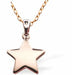 Rose Golden Star Necklace
15mm in size with 18" Chain
Hypoallergenic: Nickel, Lead and Cadmium Free
Delivered in a soft, black, velveteen pouch