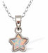 Glowing Opalite Star Necklace
8mm, 18" chain
Rhodium Plated
Hypoallergenic: Nickel, Lead and Cadmium free
Delivered in a soft, black, velveteen pouch