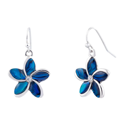 Paua Shell Earrings