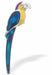 Paua Shell Elegant Butterfly Brooch by Byzantium, 35mm in size, Rhodium Plated