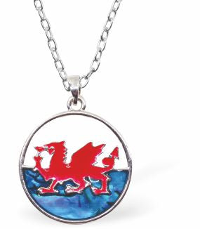 Natural Paua Shell Welsh Flag Necklace Hypoallergenic: Rhodium Plated, Nickel, Lead and Cadmium Free Greeny Blue in colour 25mm in size, 18" Rhodium Plated Chain