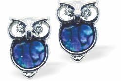 Natural Paua Shell Cute Owl Stud Earrings, Rhodium Plated, 12mm in size